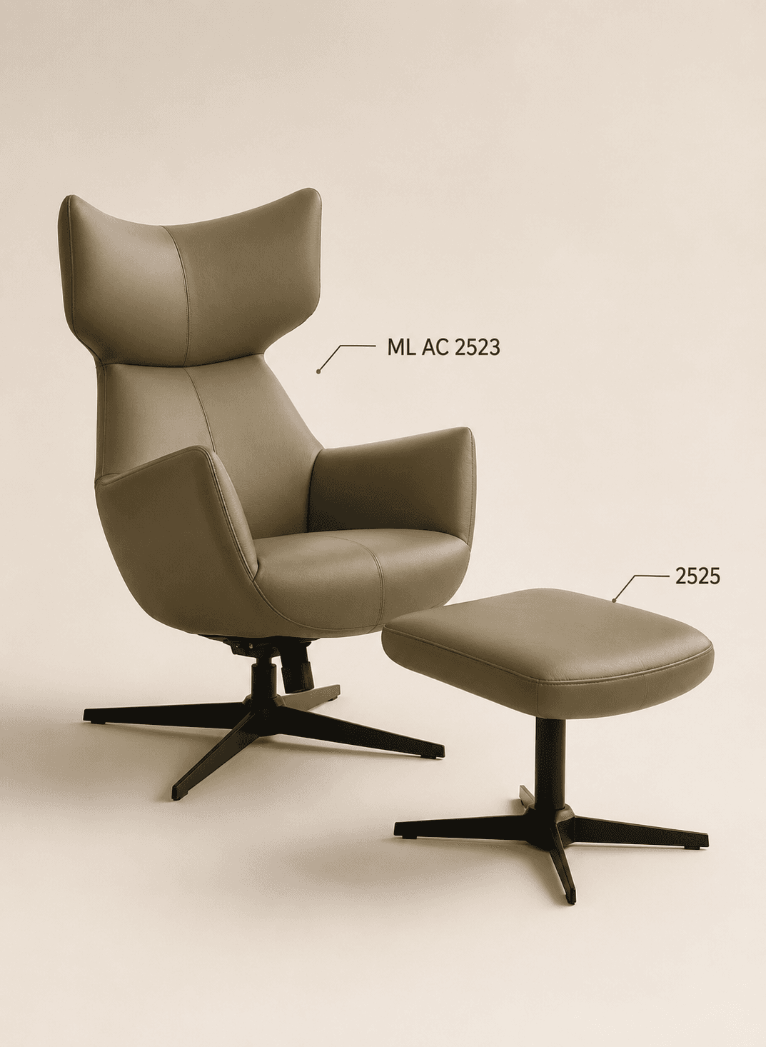 ML AC 2523 - Product